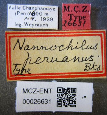 Media type: image;   Entomology 26631 Aspect: labels